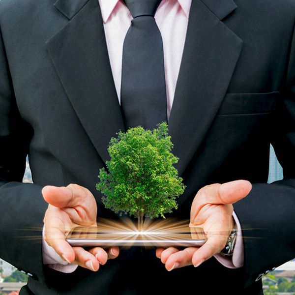 sustentabilidade empresarial